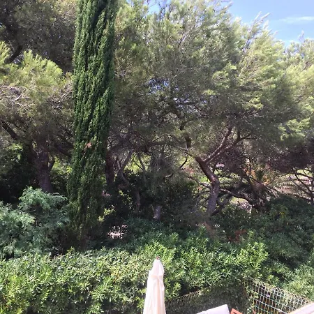 T2 Solviou - 33m2 - Acces Direct Plage - Parking Gratuit Apartament Six-Fours-les-Plages