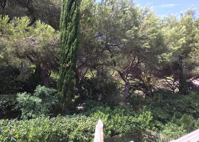 T2 Solviou - 33m2 - Acces Direct Plage - Parking Gratuit شقة سيكس-فور-لو-بلاج